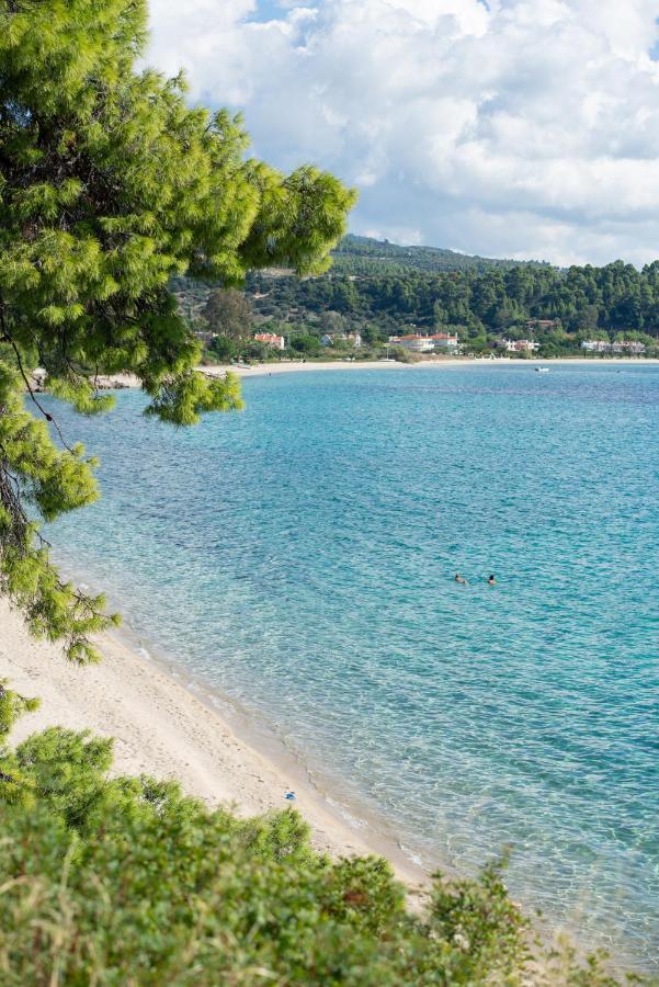 Thodoros Apartment Sykia Chalkidikis Bagian luar foto