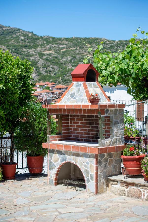 Thodoros Apartment Sykia Chalkidikis Bagian luar foto