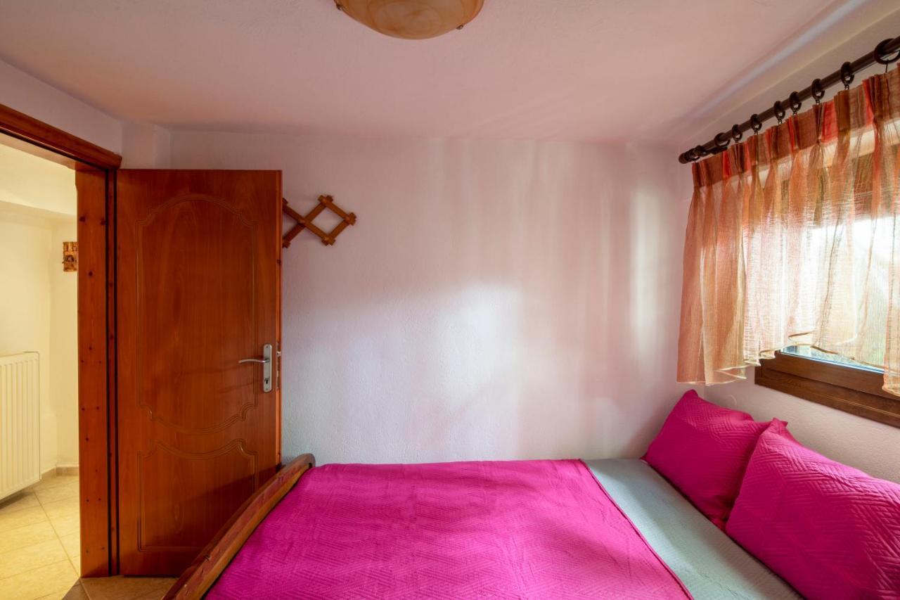 Thodoros Apartment Sykia Chalkidikis Bagian luar foto